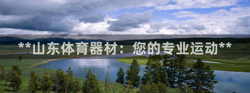 星欧娱乐是正规平台吗安全吗可靠吗：**山东体育器材：