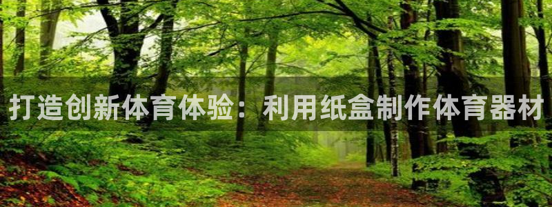 星欧娱乐公司创始人背景故事是什么：打造创新体育体验：