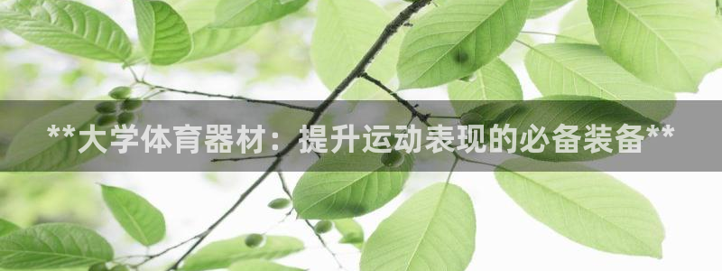 星欧娱乐扣款：**大学体育器材：提升运动表现的必备装