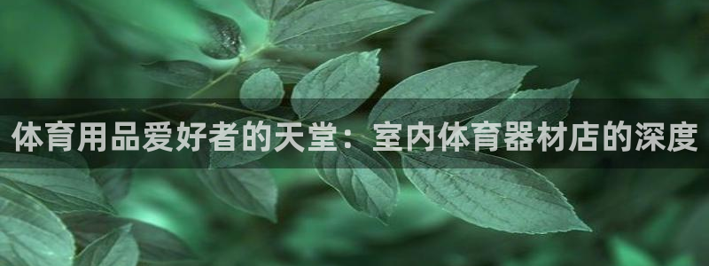 星欧娱乐是正规平台吗可靠吗：体育用品爱好者的天堂：室