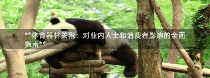 新星娱乐怎么开挂：**体育器材关税：对业内人士和消费