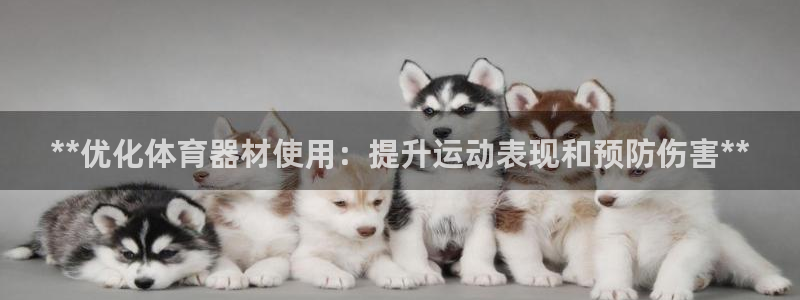 星欧娱乐信存手机版下载：**优化体育器材使用：提升运