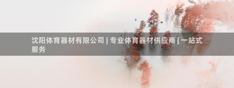 星欧娱乐热最建议去的三个地方：沈阳体育器材有限公司 