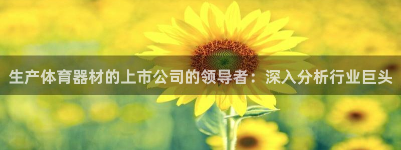 星欧娱乐挂机教程下载：生产体育器材的上市公司的领导者