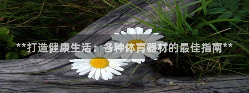 星欧娱乐最建议买的三个产品是什么意思：**打造健康生