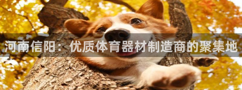 星欧娱乐扣款6II2是什么情况：河南信阳：优质体育器