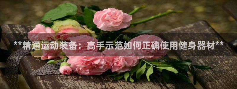 星欧娱乐最建议买的三个游戏：**精通运动装备：高手示