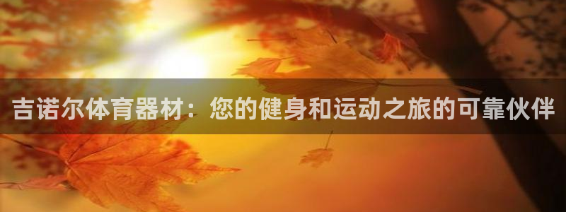 星娱乐online张译：吉诺尔体育器材：您的健身和运