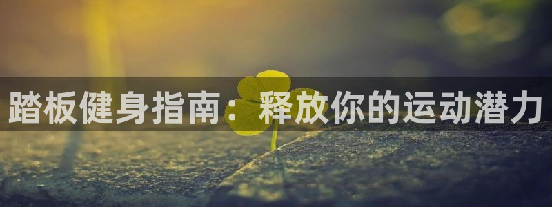 星欧娱乐公司创始人背景故事简介：踏板健身指南：释放你