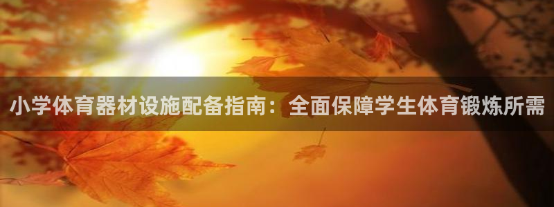 星欧娱乐挂机赚钱：小学体育器材设施配备指南：全面保障