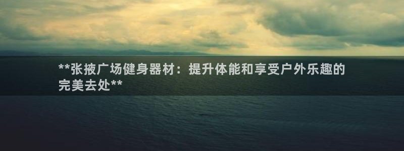 星欧娱乐公司创始人背景故事是什么：**张掖广场健身器