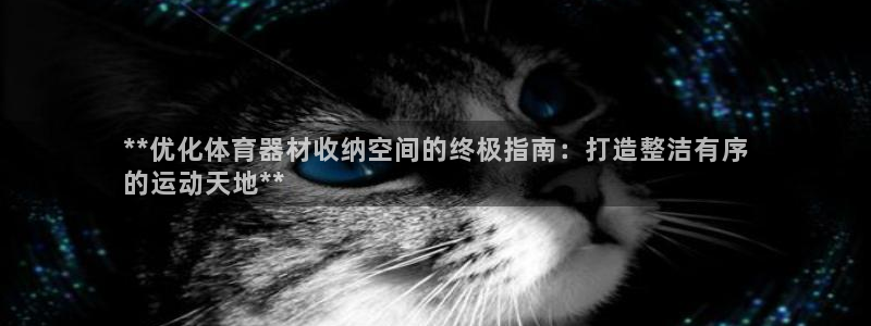 星欧娱乐信存手机版下载