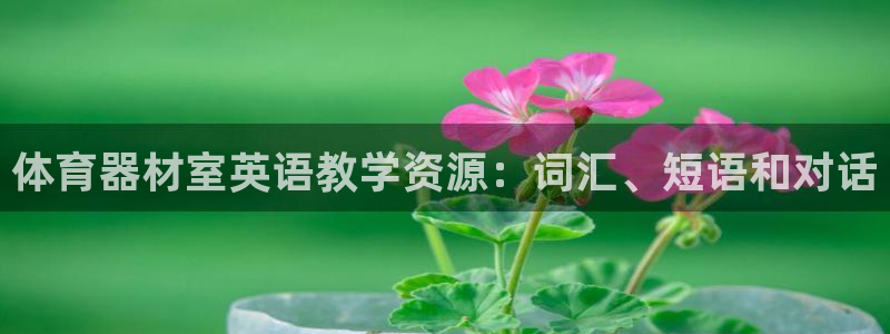 星欧娱乐热最建议去的三个地方：体育器材室英语教学资源
