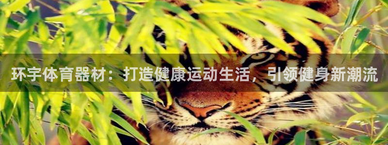 星奥娱乐艺人：环宇体育器材：打造健康运动生活，引领健