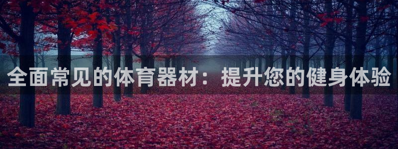 星欧娱乐公司电话号码：全面常见的体育器材：提升您的健