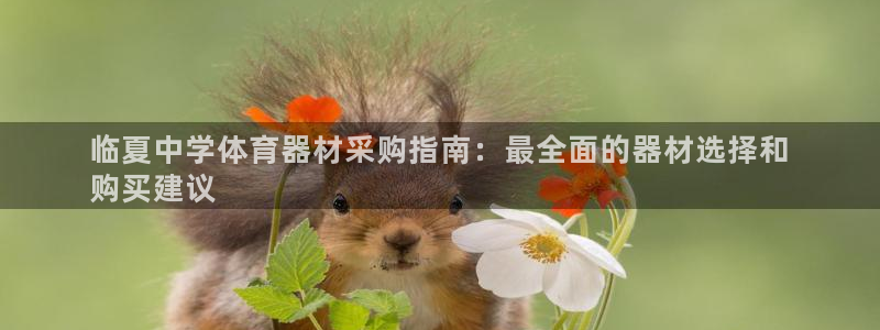 星欧娱乐官方客服联系方式是什么