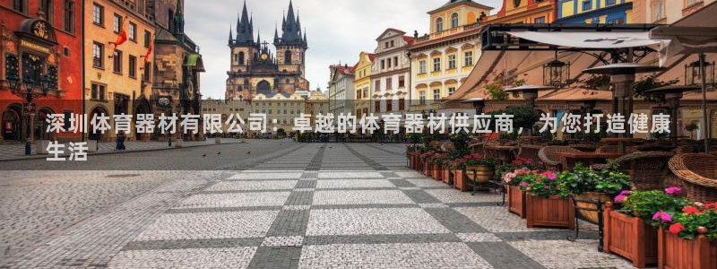 星欧娱乐联最新新闻：深圳体育器材有限公司：卓越的体育