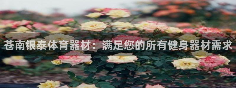 星欧娱乐平台怎么样啊：苍南银泰体育器材：满足您的所有