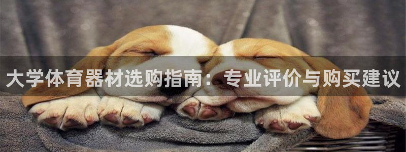 星娱乐是谁的公司：大学体育器材选购指南：专业评价与购
