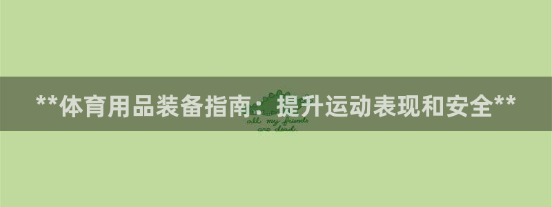 星欧娱乐挂机赚钱软件：**体育用品装备指南：提升运动