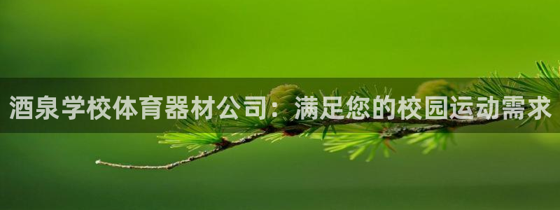 星欧娱乐雀V是什么平台：酒泉学校体育器材公司：满足您
