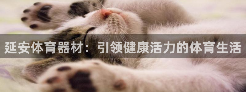 星欧娱乐挂机：延安体育器材：引领健康活力的体育生活