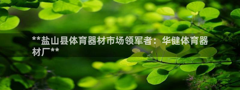 星欧娱乐挂机教程：**盐山县体育器材市场领军者：华健