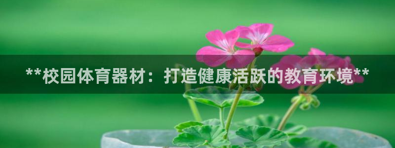 星欧娱乐扣费后解决方法：**校园体育器材：打造健康活