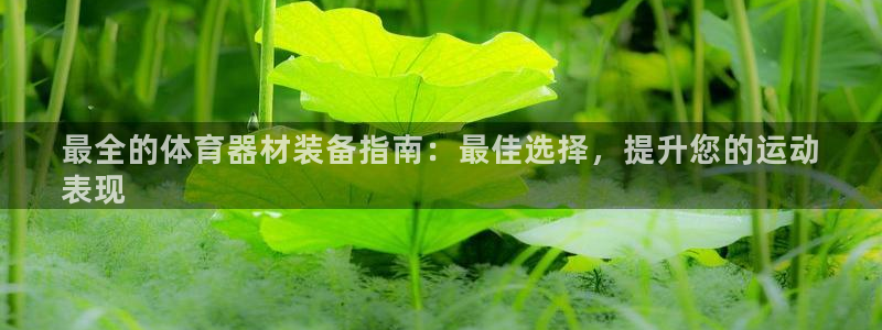 星欧娱乐的创始人背景故事简介：最全的体育器材装备指南