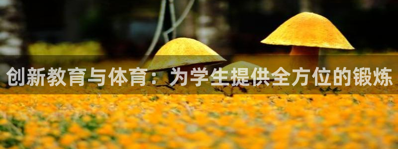 星欧娱乐官网