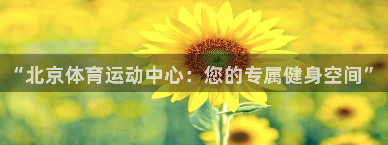 星欧娱乐的官方版本更新内容