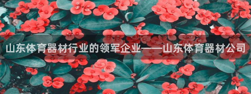 星欧娱乐公司电话号码：山东体育器材行业的领军企业——山东体育