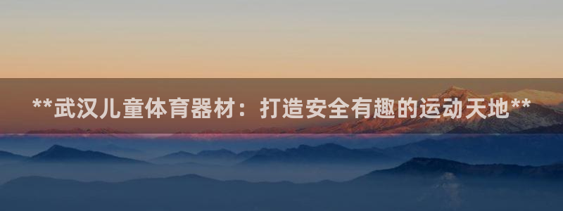 星欧娱乐公司简介：**武汉儿童体育器材：打造安全有趣的运动天