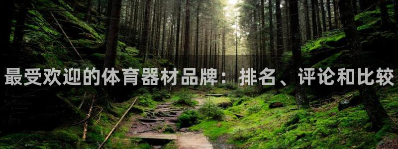 星欧娱乐扣款时间查询方法怎么查不了：最受欢迎的体育器