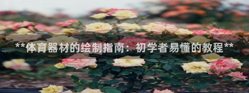 星欧娱乐属于什么档次的网站：**体育器材的绘制指南：