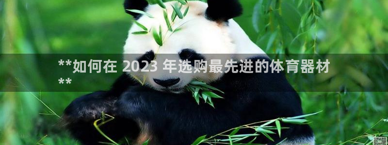 星娱乐online音乐：**如何在 2023 年选购