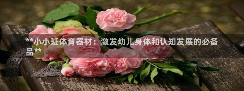 星欧娱乐平台地7O777：**小小班体育器材：激发幼儿身体和 