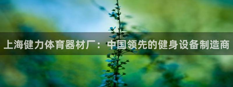 星欧娱乐公司简介：上海健力体育器材厂：中国领先的健身设备制造
