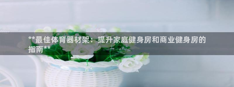 星欧娱乐扣款：**最佳体育器材架：提升家庭健身房和商