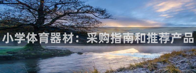星欧娱乐扣款：小学体育器材：采购指南和推荐产品