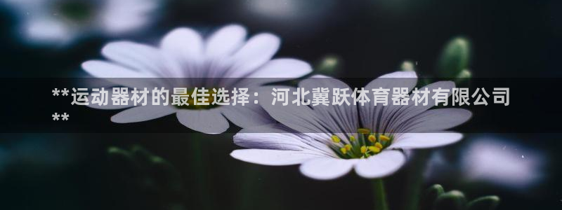 星欧娱乐扣款6II2是什么情况：**运动器材的最佳选择：河北