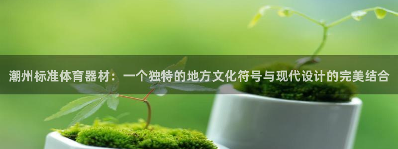 星欧娱乐最建议买的三个游戏账号：潮州标准体育器材：一