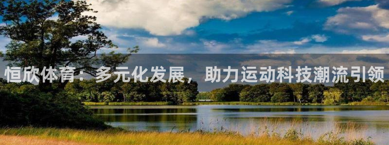 星欧娱乐联和哪个品牌合作：恒欣体育：多元化发展，助力