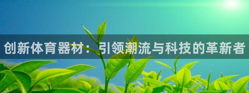 星欧娱乐最建议买的三个产品有哪些内容：创新体育器材：