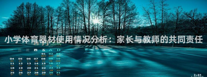 星欧娱乐还能玩吗：小学体育器材使用情况分析：家长与教